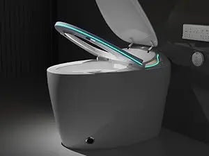 Adjusted Heated Seat, Luxury Smart Toilet With Bidet