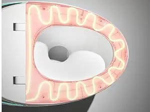 Adjusted Heated Seat, Luxury Smart Toilet With Bidet