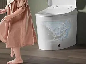 Adjusted Heated Seat, Luxury Smart Toilet With Bidet