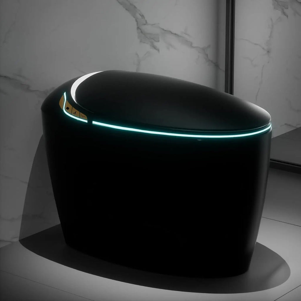 Adjusted Heated Seat, Luxury Smart Toilet With Bidet