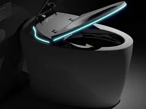 Adjusted Heated Seat, Luxury Smart Toilet With Bidet